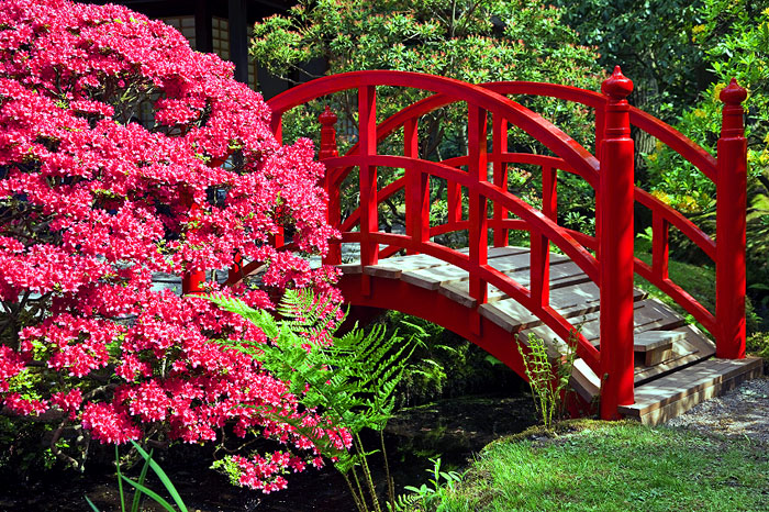 arched chinese red bridge