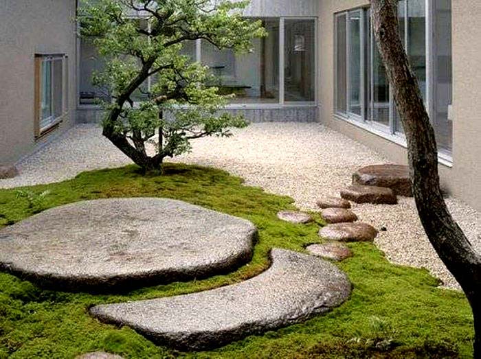 contemporary moss garden idea