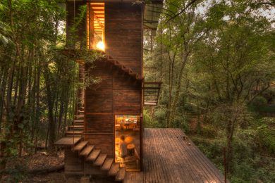 Casa Flotante - Wooden Treehouse in a Forest in Mexico City