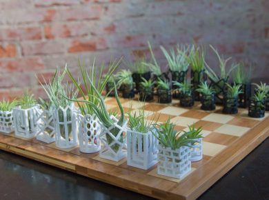 Unique Air Plant Living Chess Set