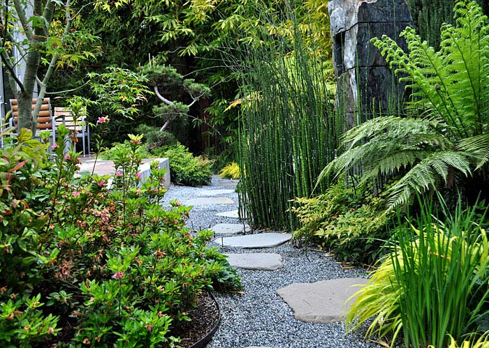 green bamboo garden idea asian backyard