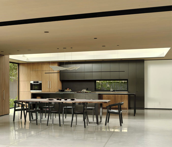mid century modern sleek kitchen cabinets 4