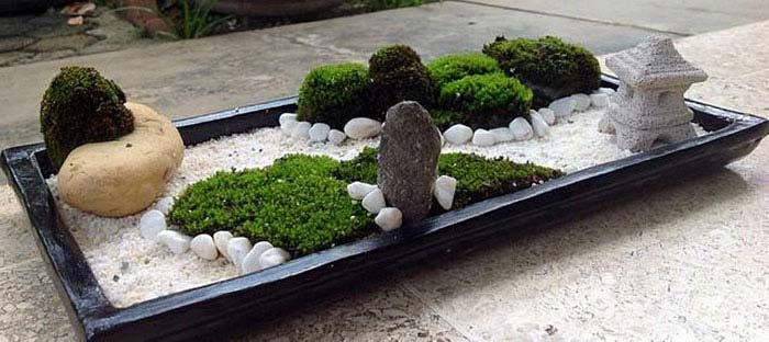 mini zen garden ideas