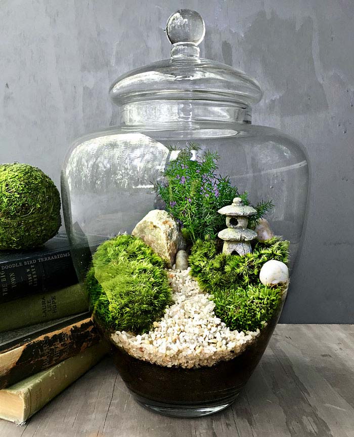 miniature zen garden