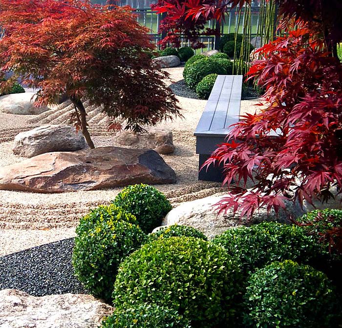 modern japanese style garden with red maple