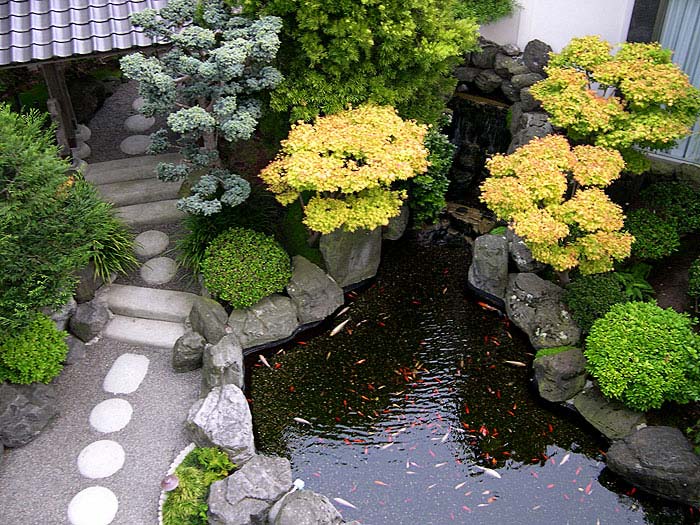 pathway stone garden koi fish pond ideas