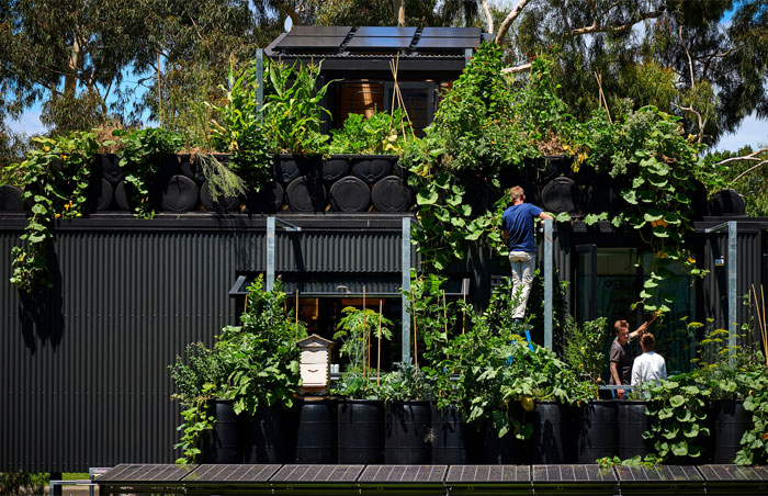 sustainable design trends vertical gardening
